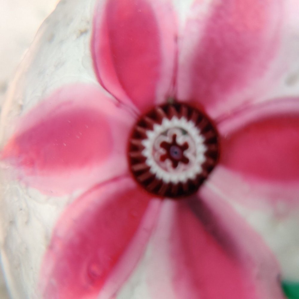 Murano Glass? LAMPWORK Poinsettia FLOWER Marshmallow White "SNOW" Paperweight - Picture 3 of 13